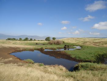 Ngorongoro crater floor